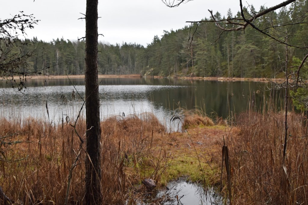 Tyresta Nationalpark Schweden